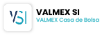 Aplicación oficial VALMEX VSI